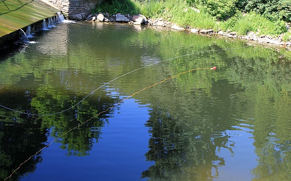 Dalekonosná házečka Dalekonosná házečka