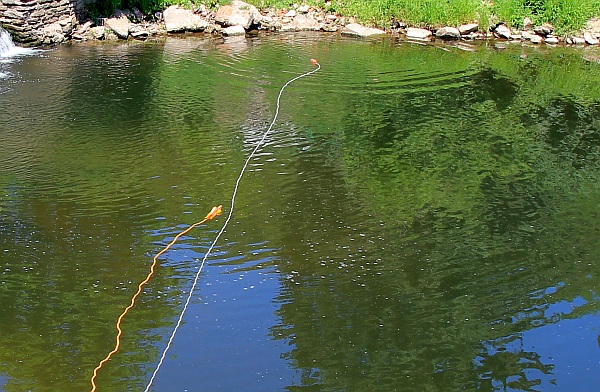 Dalekonosná házečka Dalekonosná házečka