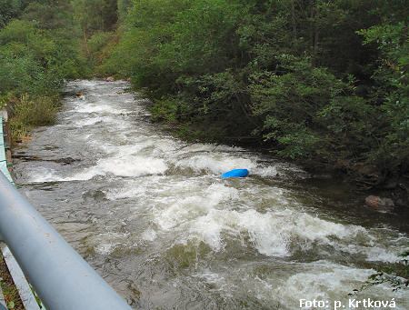 Divoka Desna Divoka Desna