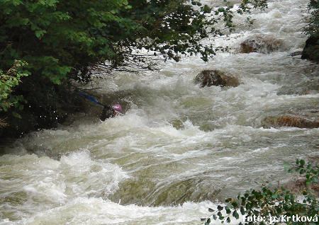 Divoka Desna Divoka Desna