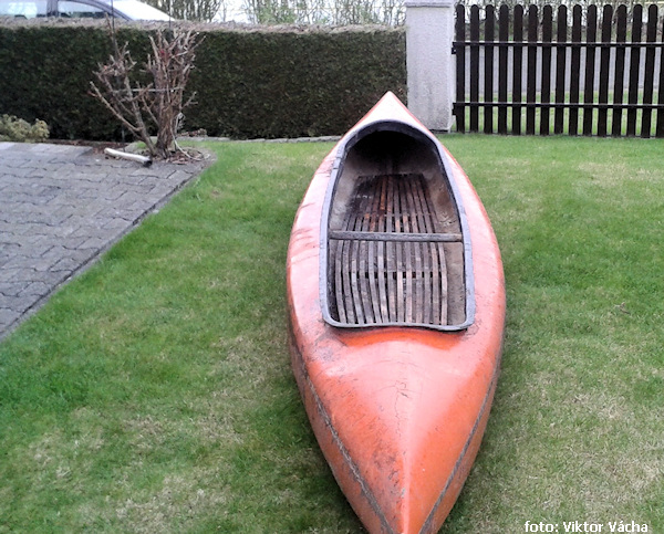 Vydra po přivezení