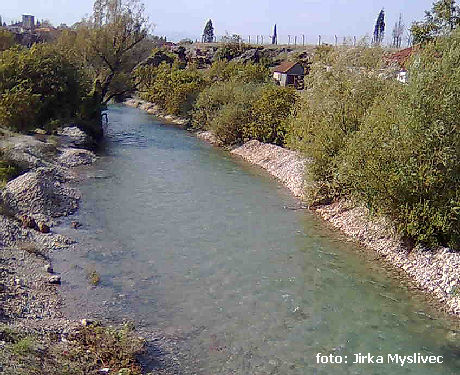 Ribnica Ribnica