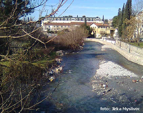 Ribnica Ribnica
