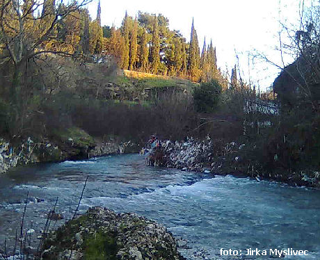 Ribnica Ribnica