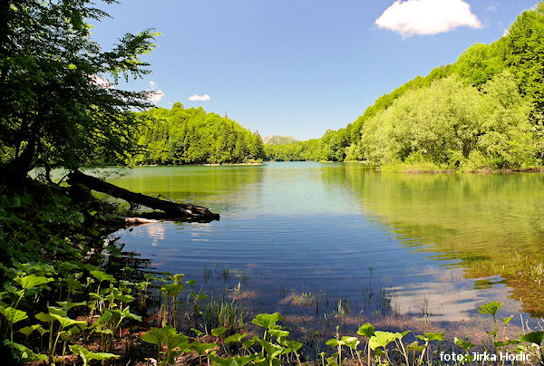 Biogradsko jezero Biogradsko jezero