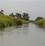 Středočeské bahňáky - Mrlina, Štítarský potok a Blatnice