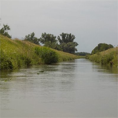 Středočeské bahňáky - Mrlina, Štítarský potok a Blatnice