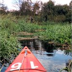 Městská vodní turistika ve Vratislavi: Olawa a Odra
