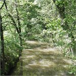 Opatovicky kanal za Bohdanci