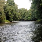 Iliaš
