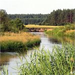 Pilica