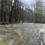 Březná pod Štíty, 24.02.2020, 102 cm (6m3/s)