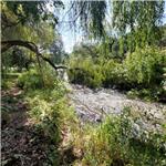 Rybí přechod u jezu Untersteinbach 