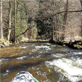 Divoká Orlice pod Bartošovicemi