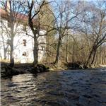 Divoká Orlice pod Bartošovicemi