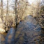 Nad mostem Niemojów-Bartošovice