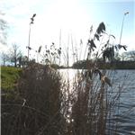 Soutok s Labem