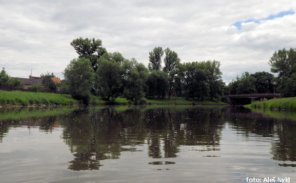 Počedělice Počedělice