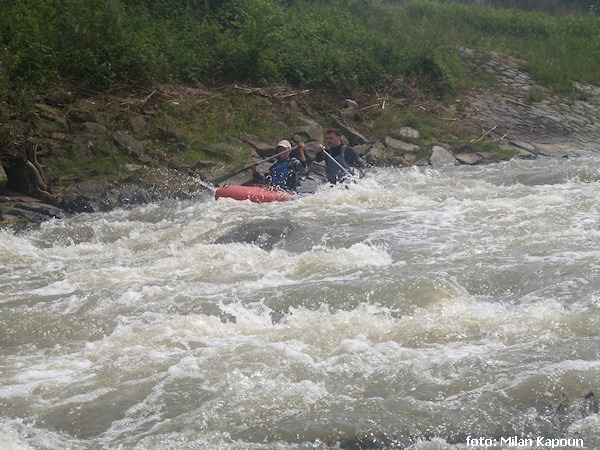 Proskovice, foceno při 130cm=12m3 na LG Svinov Proskovice, foceno při 130cm=12m3 na LG Svinov