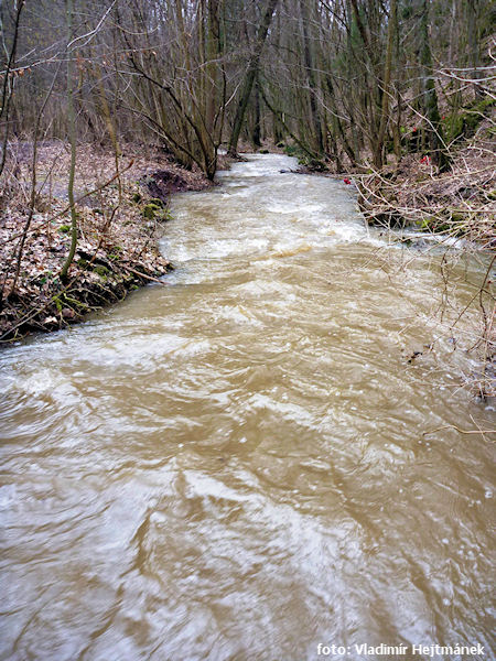 Jeden z přehlednějších úseků Jeden z přehlednějších úseků