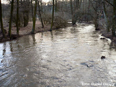 Rokytná 1km před ústím Rokytná 1km před ústím