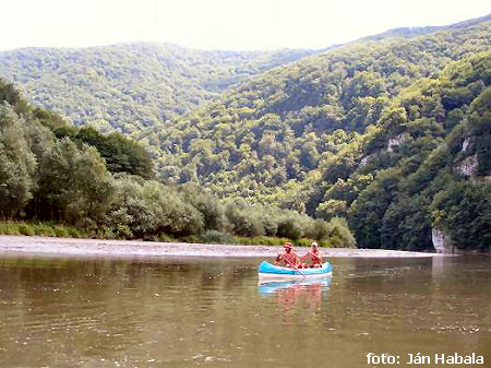 Orava Orava