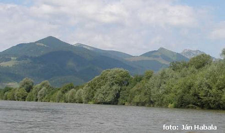 Orava Orava