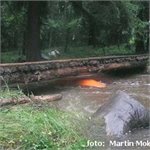Soutěska na r.km 49