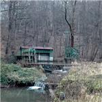 Tříkrálová Lužická Nisa